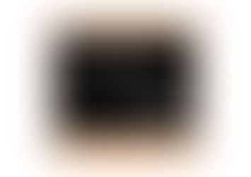 Обкладинка альбому «The Land Is Inhospitable and So Are We» Mitski, до якого увійшла пісня «My Love Mine All Mine»