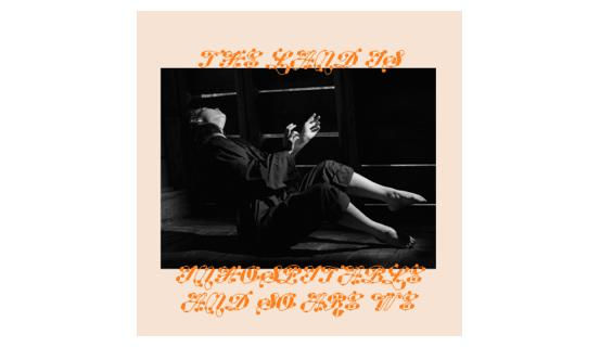 Обкладинка альбому «The Land Is Inhospitable and So Are We» Mitski, до якого увійшла пісня «My Love Mine All Mine»