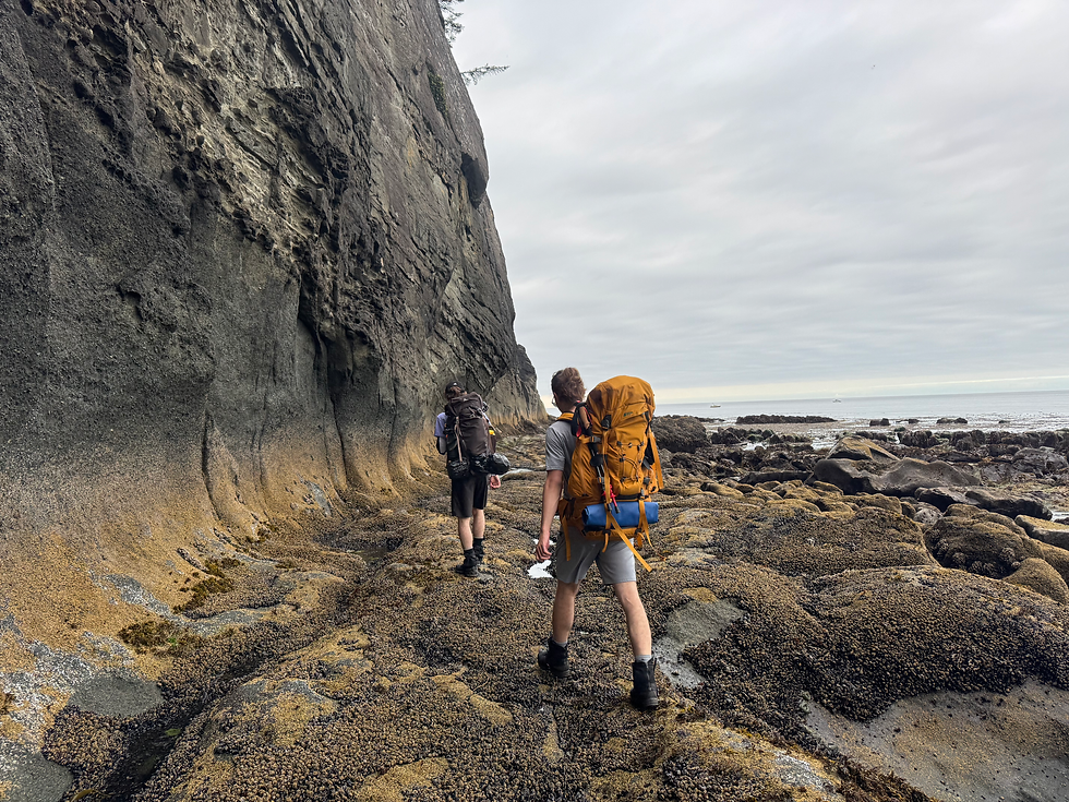 This is the section we should have avoided.