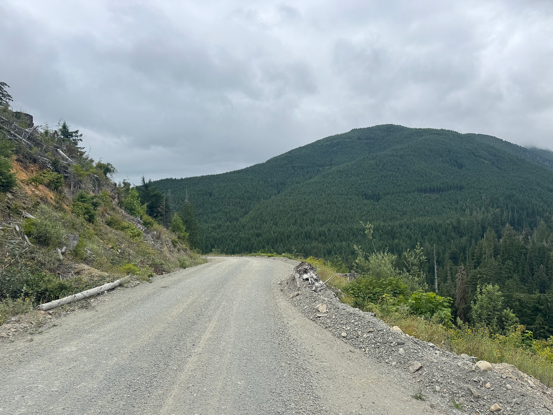 Down to Nitinat