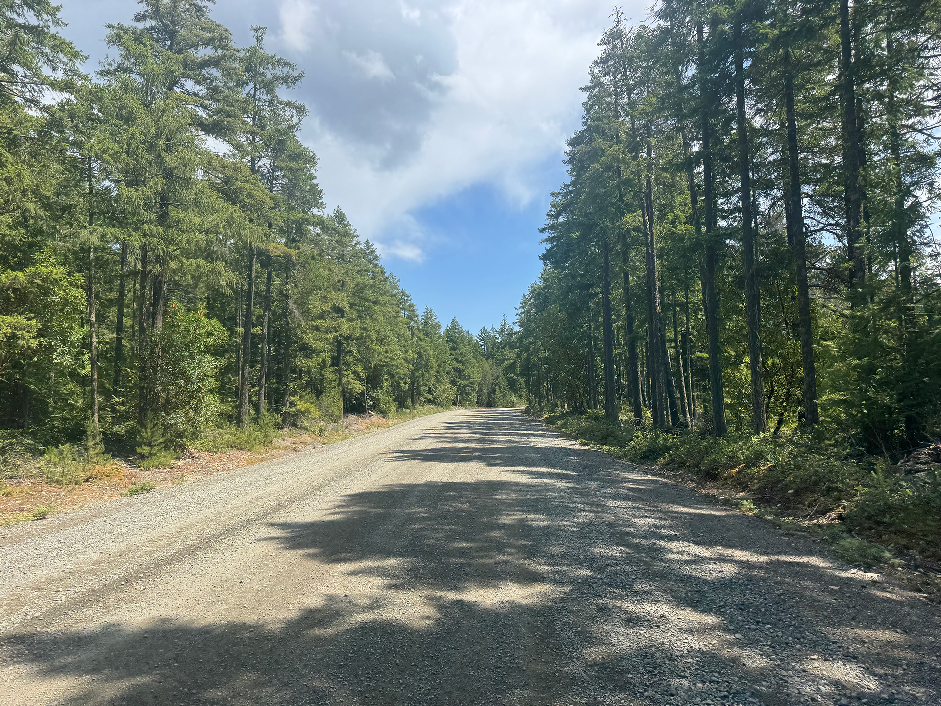 Great roads from to and beyond Horne Lake