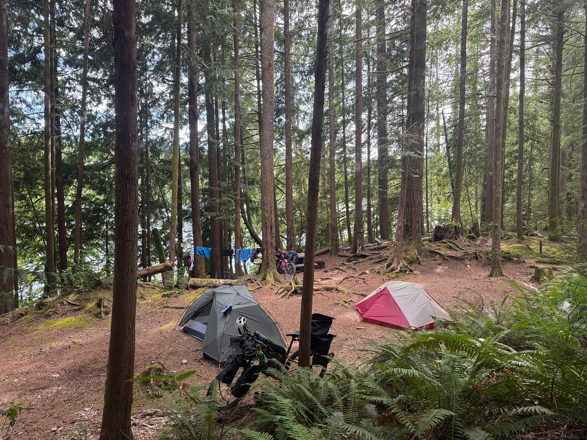 Lizard Lake Campsite