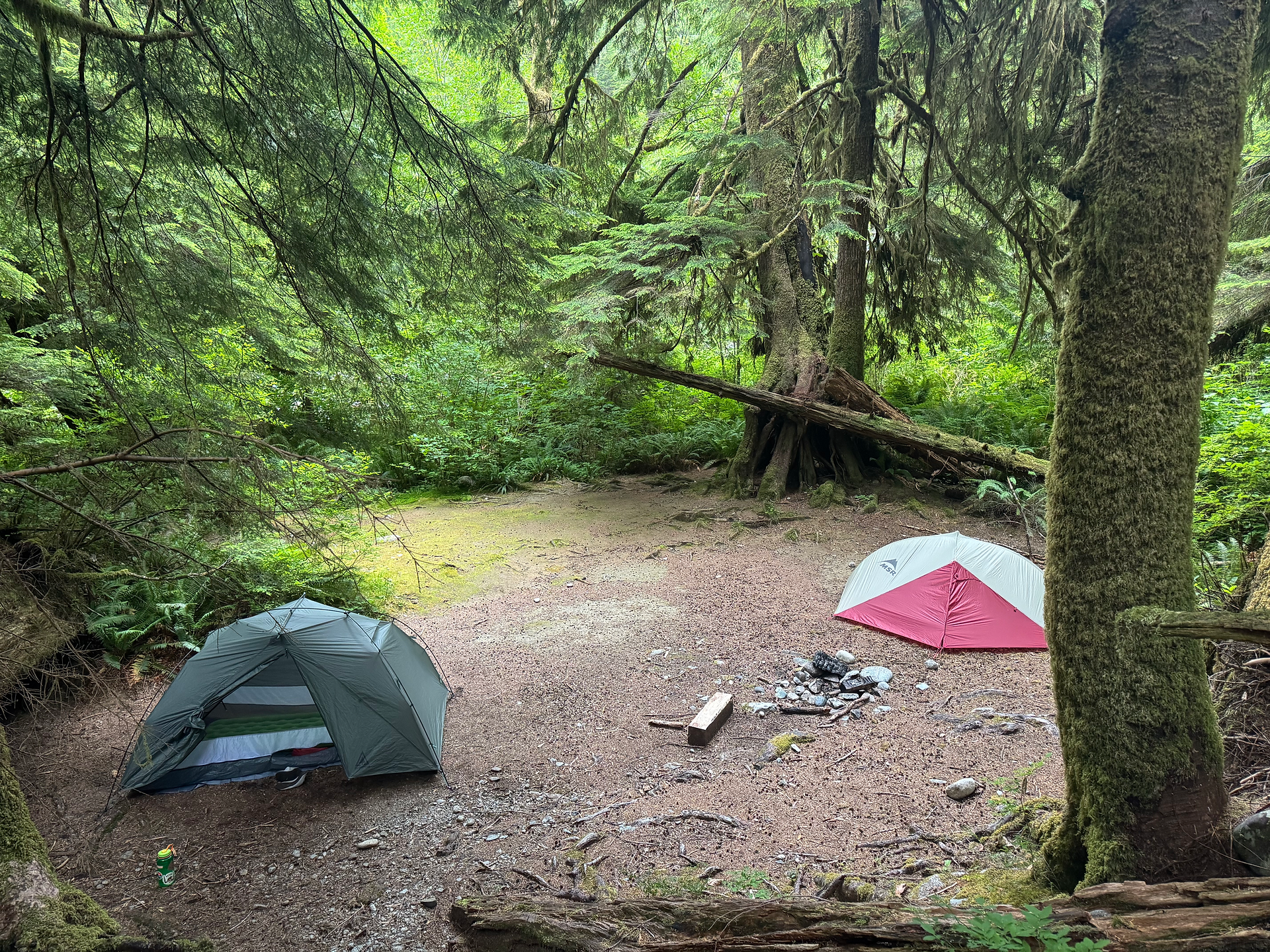 Campsite down by the creek