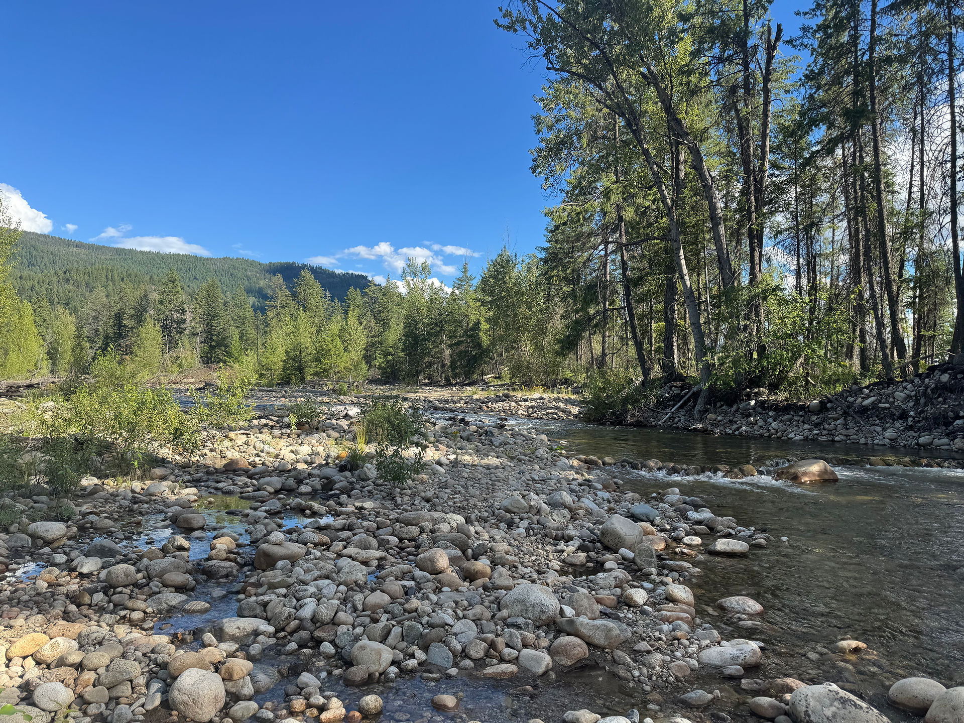 Lynch Creek
