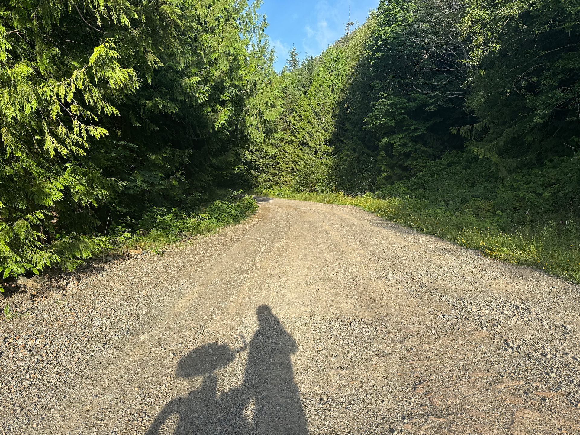 Nice roads all the way to Bamfield