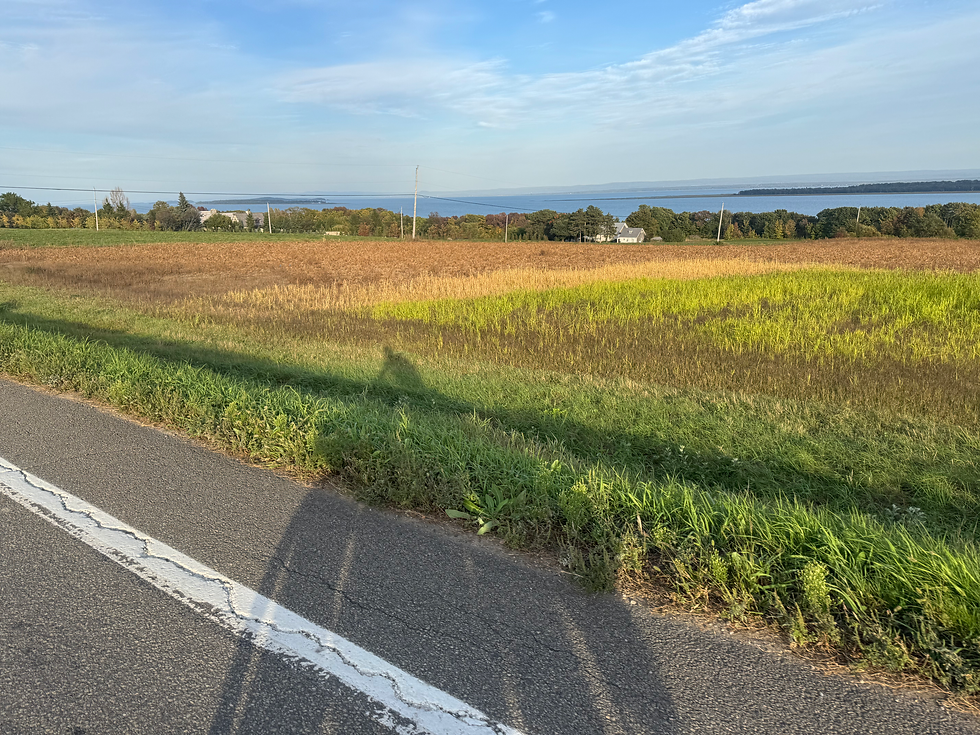 Coming to the end of a long day