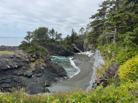 Nootka Island July 2025