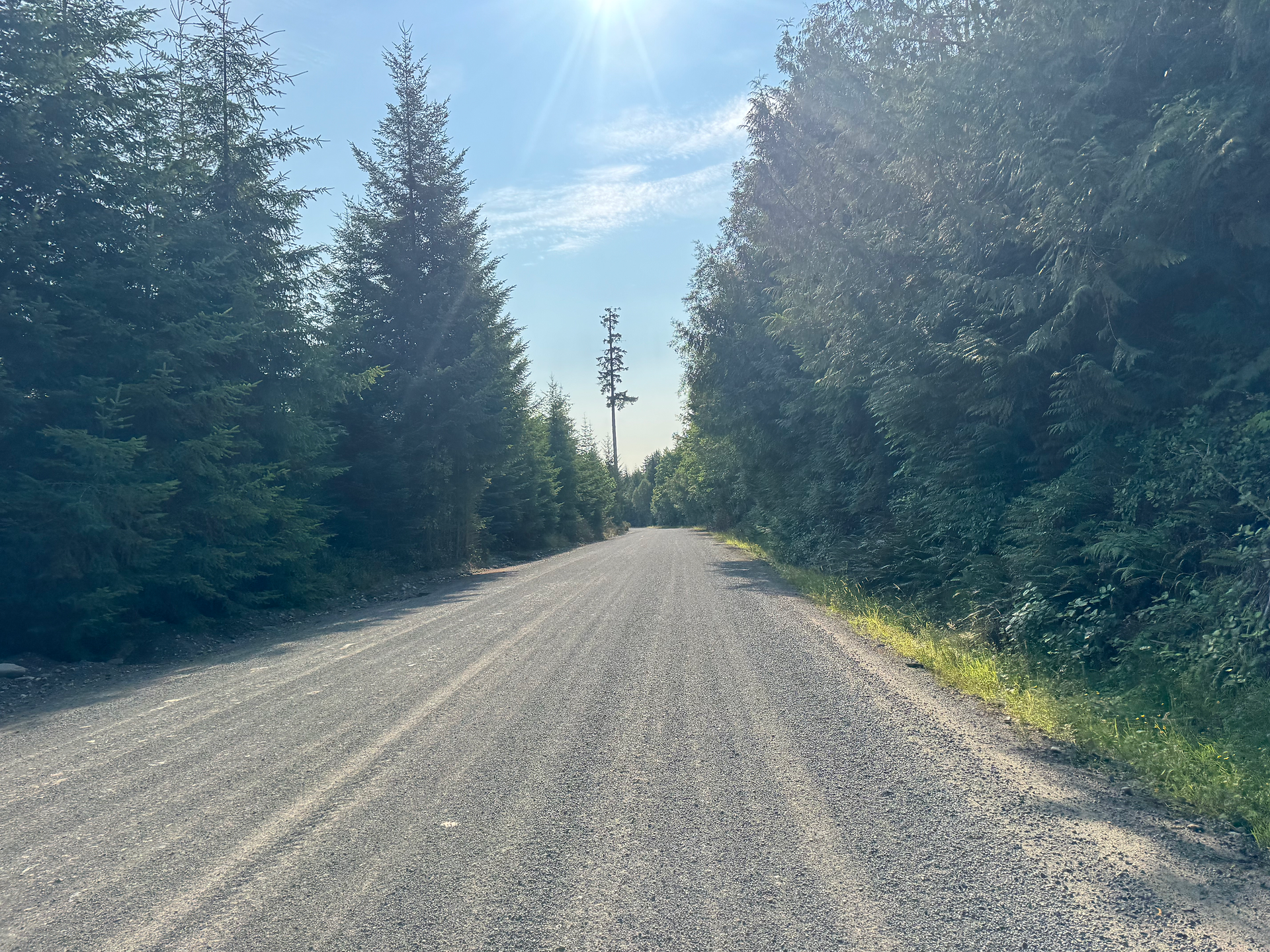 Some great gravel heading back west along Englishman River but active logging in the area.