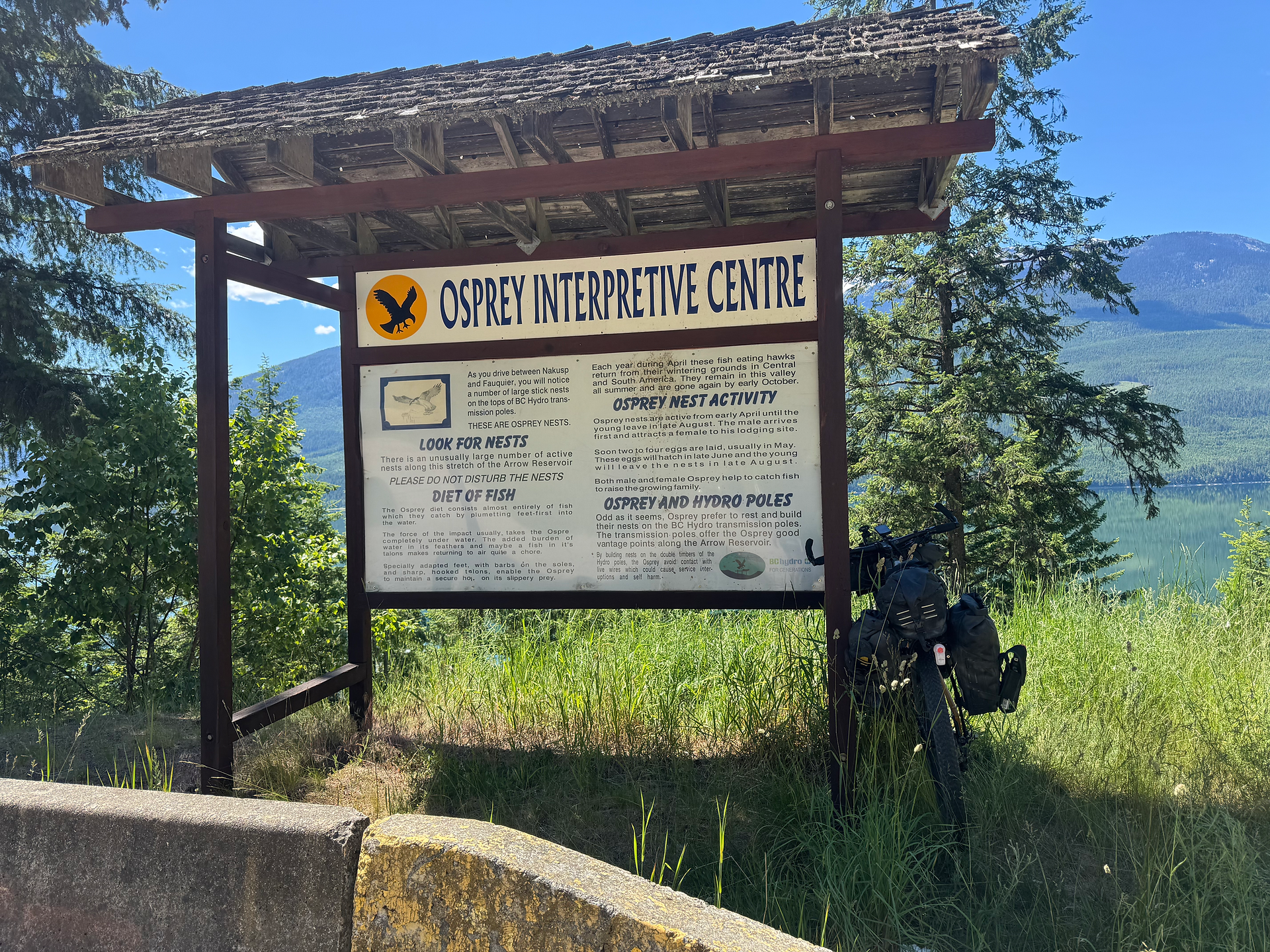 Read about Osprey nests...