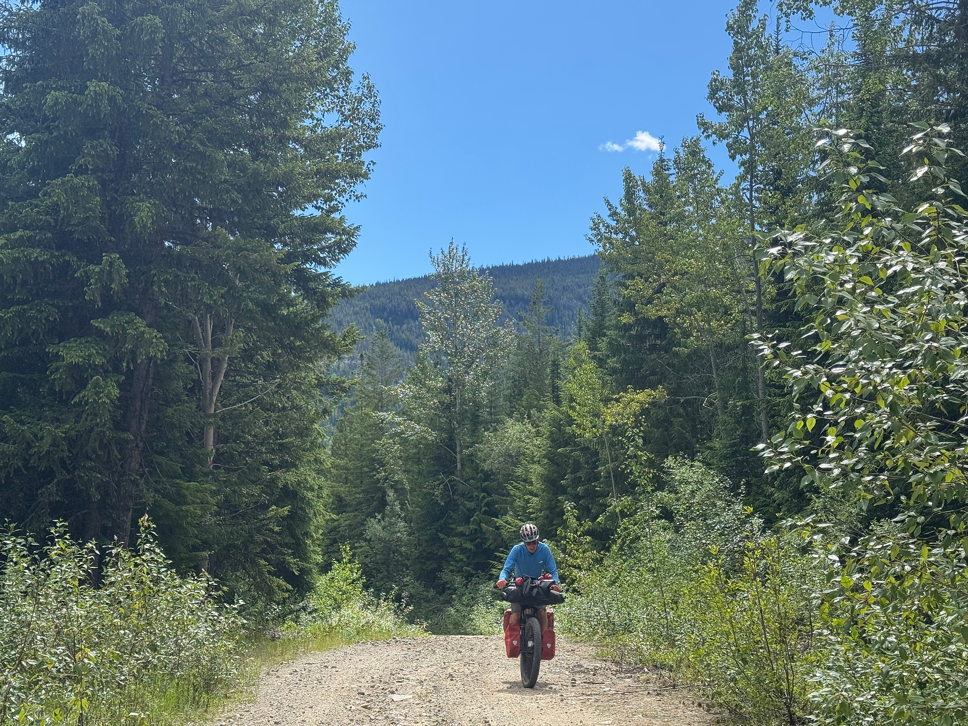 Climbing out of Edgewood