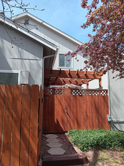 Deck and Fence Staining