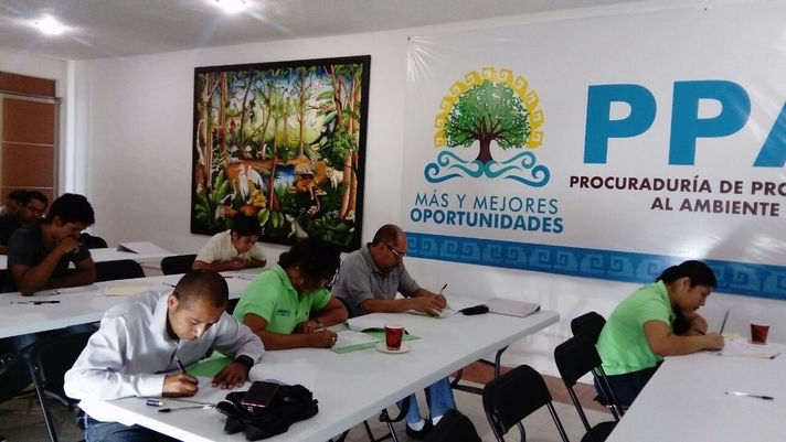 Autorregulación y Auditoría Ambiental Estatal
