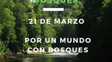 DÍA INTERNACIONAL DE LOS BOSQUES