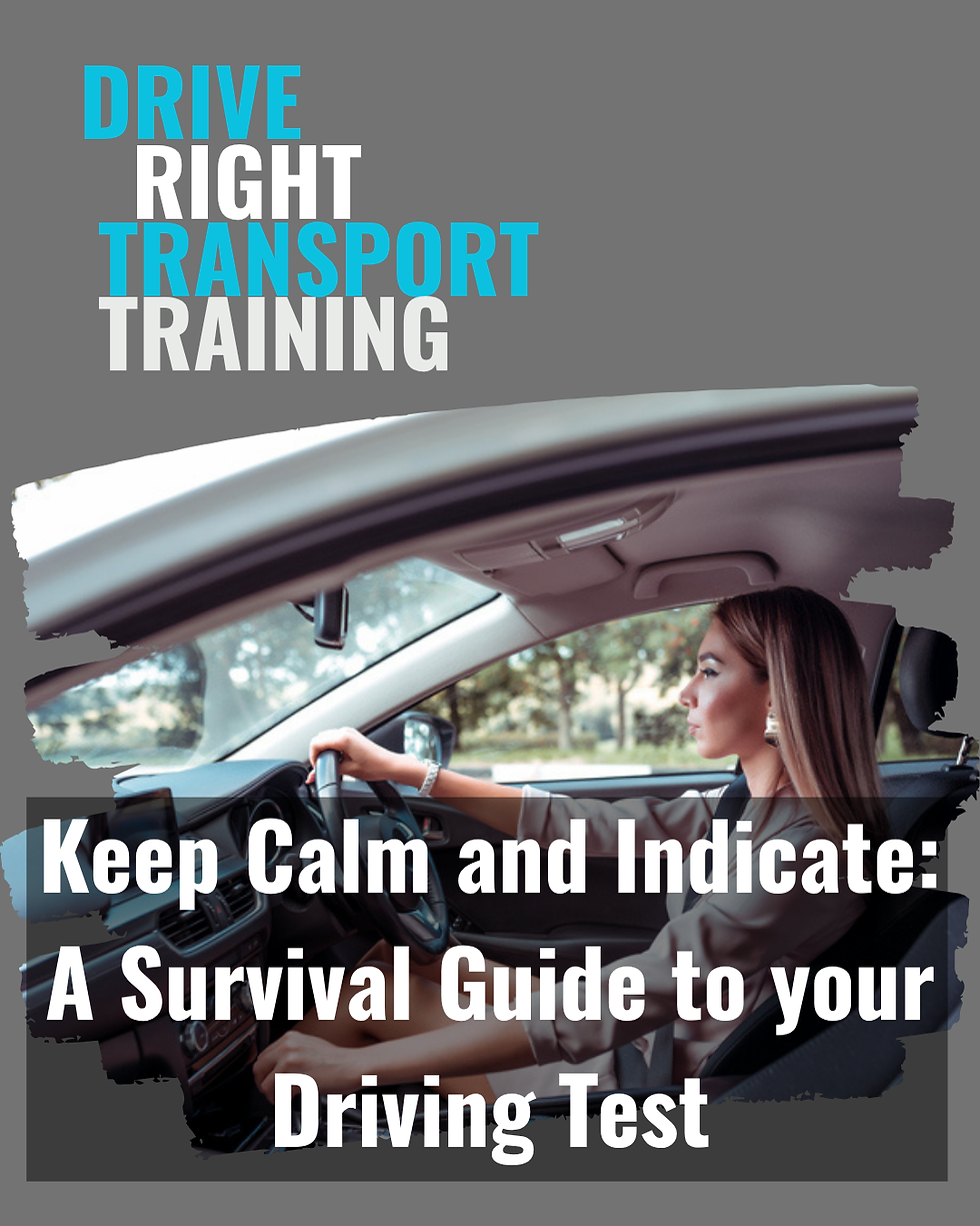 Keep Calm and Indicate - A survival guide to your driving test