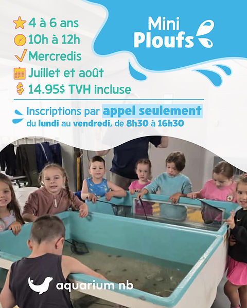 Camps d'été-02.jpg