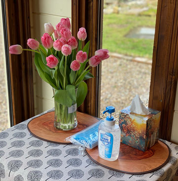 Cosy Cabin with flowers and sanitiser