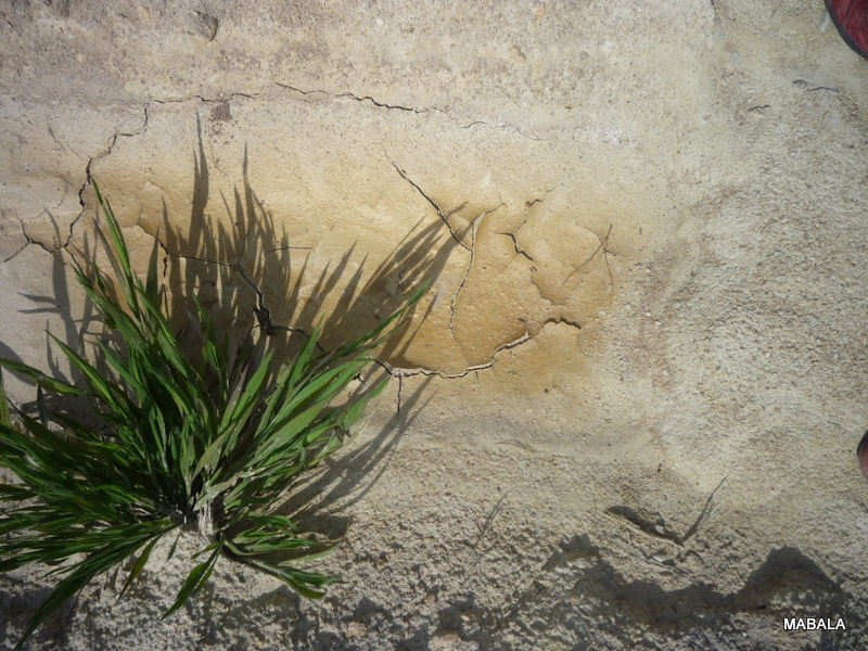 P1110440.JPG