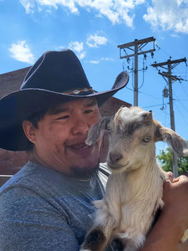 goat1.jpg