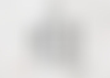 他人の過ちは見やすいが自分の過ちは見がたい