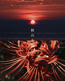 『お彼岸は返しきれない恩に気づく日』