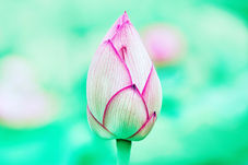 お盆法要ご案内