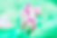 023CC975-2048-4DB5-AABC-5746A0547511.JPG