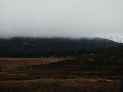 2017-01-22 04.04.34 1