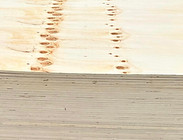 Standard Plywood