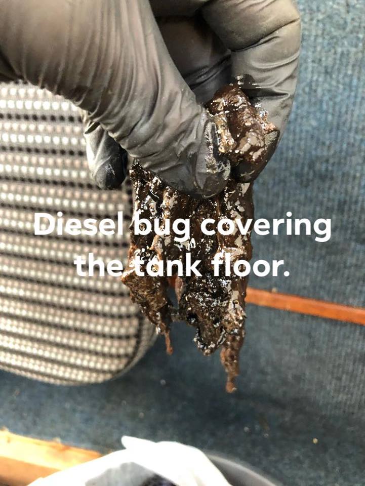 Diesel Bug Treatment South Coast Parker Marine Services