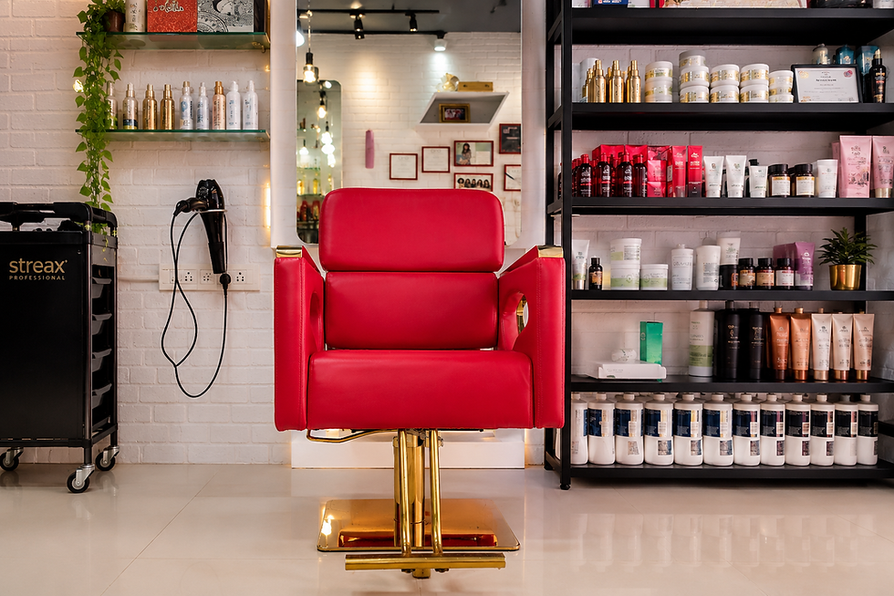 Salon Chair