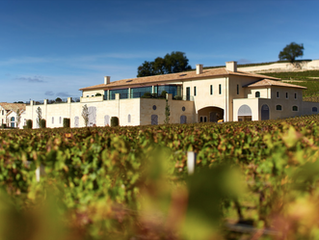 Las Joyas Liquidas de Chateau Pavie