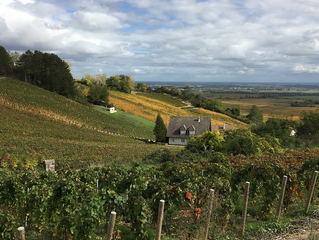 Pasión por el vino: Climats