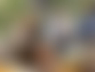 La Ruta del Sabor: Parte 2