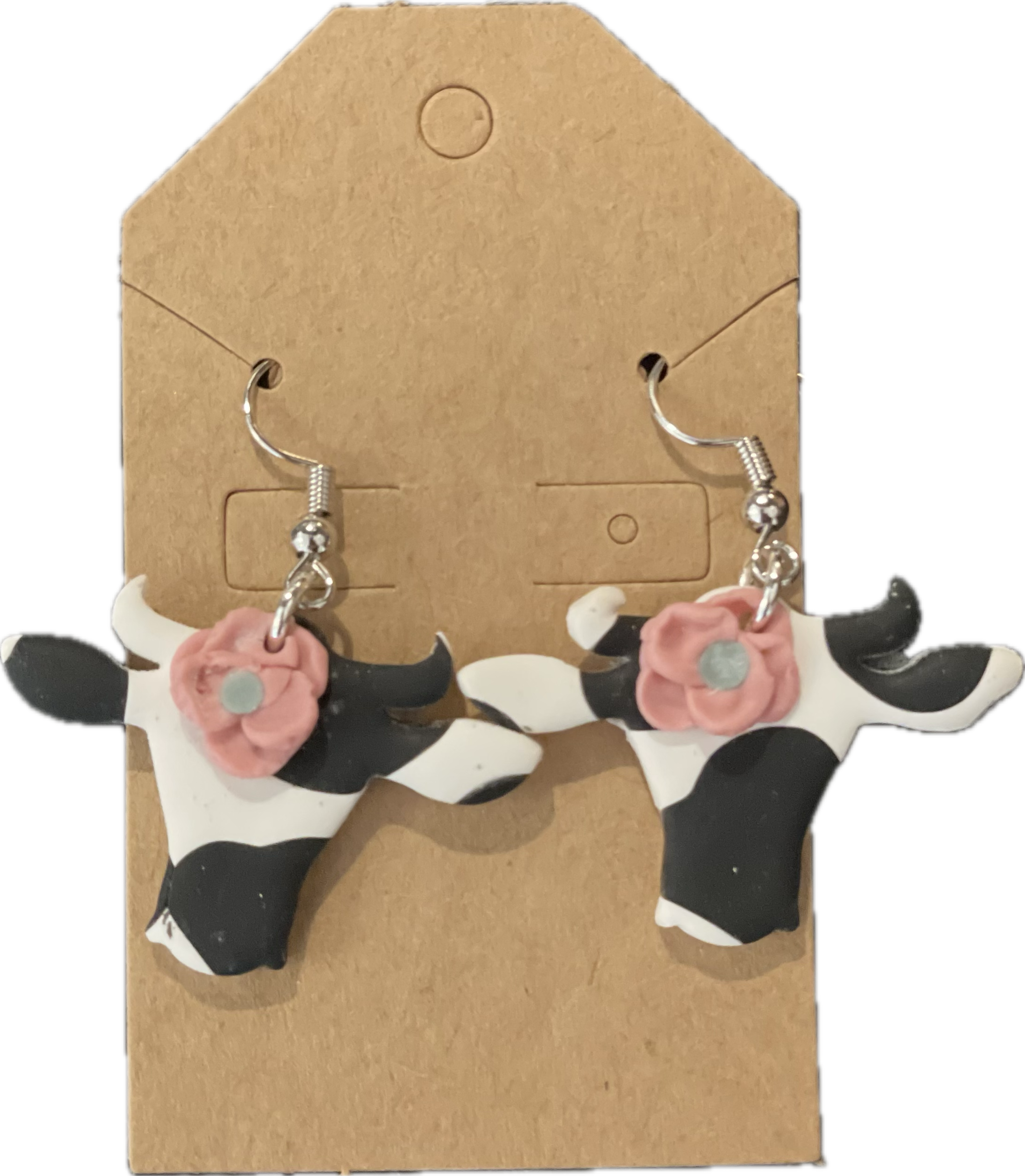 2 Dangling Earrings