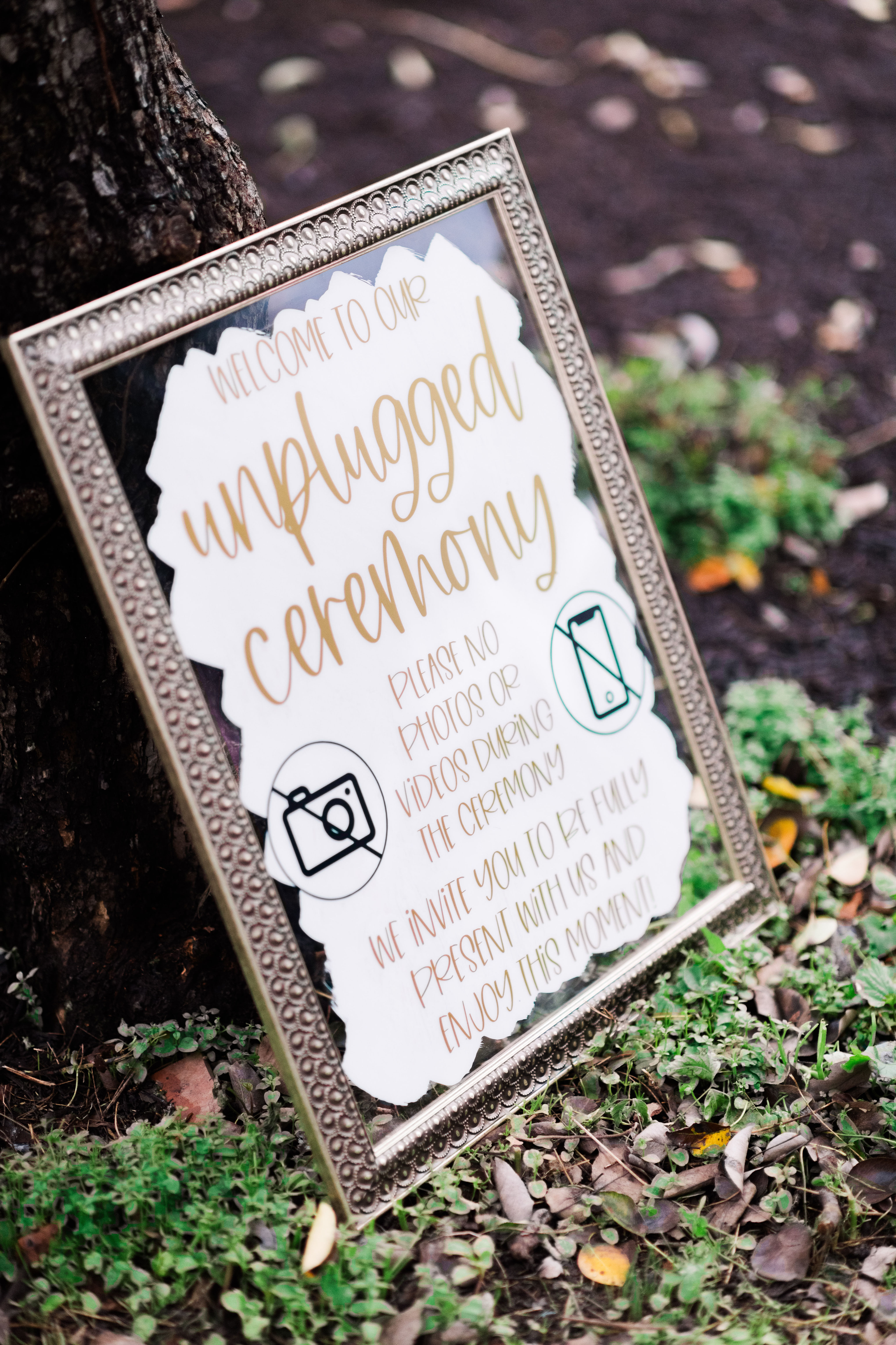 Unplugged Ceremony Sign