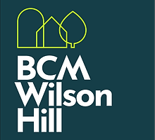 BCHWH Primary Green-White Emerals Panel (2).png