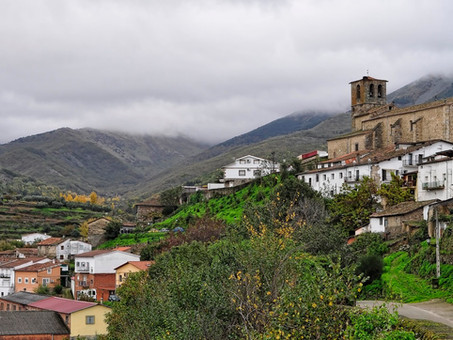 המעבר לפרפרייה? ההשפעה של הירידה ב-30% בשטחי המשרדים בספרד על העדפות ומחירי הנדל"ן למגורים.