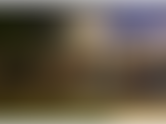 אסף לבנת במפגש משלחת נשים משפיעות מספרד בבית השגרירה הספרדית בהרצליה פיתוח