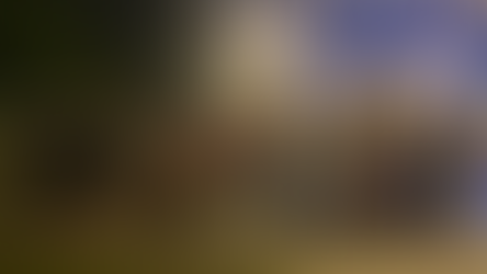 אסף לבנת במפגש משלחת נשים משפיעות מספרד בבית השגרירה הספרדית בהרצליה פיתוח