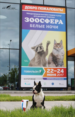 С  ВЫСТАВОК