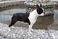 med_59d7499c1c4f1.jpg