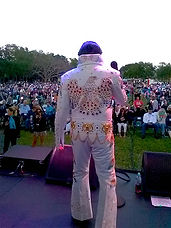 ELVIS CELLS.jpeg