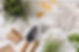 plants-gardening-tools-close-up.jpg