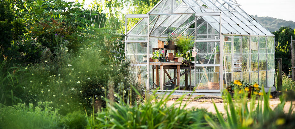 Neskubėkim purkšti, tręšti