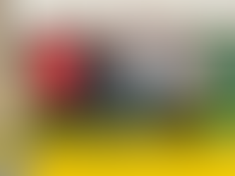 Vai começar a Série Ouro 2025 - ABF São Lourenço do Sul conheceu os grupos do Campeonato Gaúcho em congresso técnico da FGFS