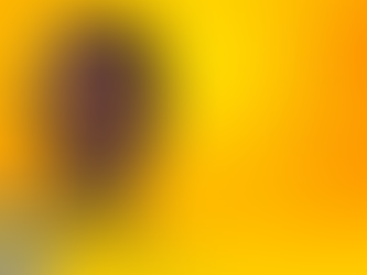 Dia da Consciência Negra: 20 de novembro é Feriado Nacional pela primeira vez no Brasil