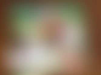 A literatura e a solidariedade…