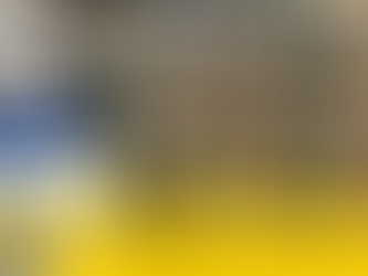 3ª Festa da Literatura e da Cultura de São Lourenço do Sul: uma Celebração à Criatividade e à Palavra Escrita