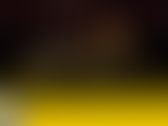 Coroação da Corte da 36ª Südoktoberfest marcou a noite do último domingo (13)