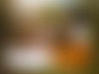 A simplicidade e a beleza…